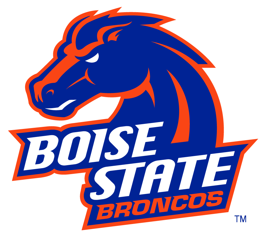 Boise State Broncos 2002-2012 Secondary Logo v29 iron on transfers for clothing